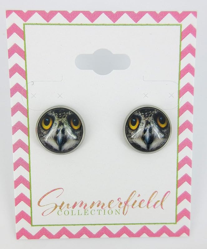 Summerfield Collection Stainless Steel Owl Face Print Glass Stud Earrings 12mm