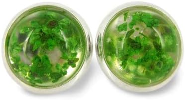 Summerfield Collection Silver-tone Clear and Dried Flower Resin Stud Earrings 10mm (Green)