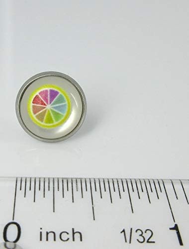 Summerfield Collection Stainless Steel Fruit Print Frosted Resin Stud Earrings 12mm (Rainbow Sliced Lemon)