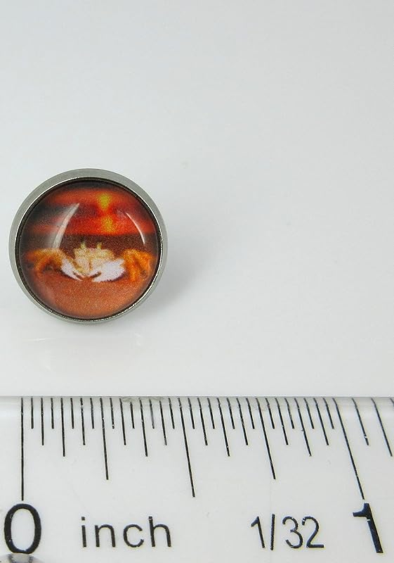 Summerfield Collection Stainless Steel Sunset Crab on the Beach Print Glass Stud Earrings 12mm