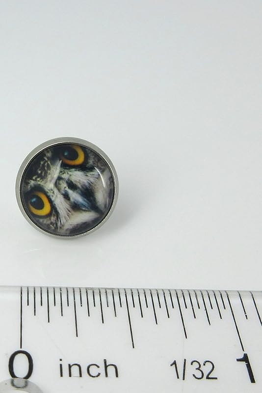 Summerfield Collection Stainless Steel Owl Face Print Glass Stud Earrings 12mm