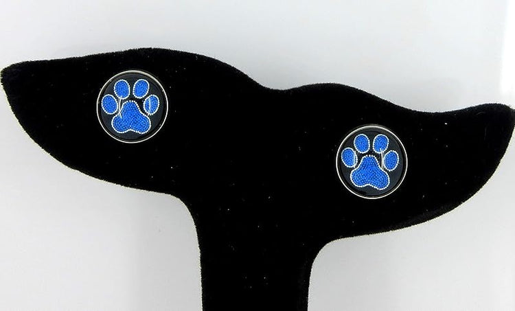 Summerfield Collection Stainless Steel Paw Print Glass Stud Earrings 12mm (Royal Blue)