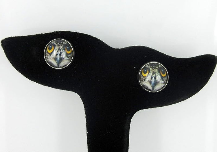 Summerfield Collection Stainless Steel Owl Face Print Glass Stud Earrings 12mm