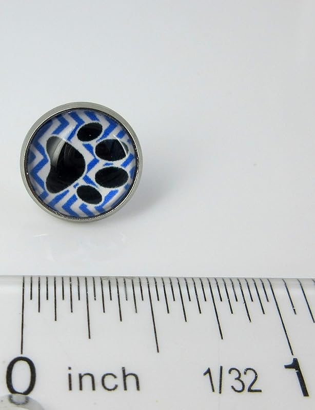 Summerfield Collection Stainless Steel Chevron and Black Paw Print Glass Stud Earrings 12mm (Royal Blue)