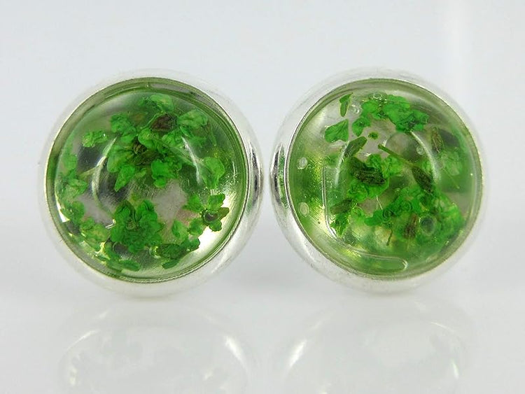 Summerfield Collection Silver-tone Clear and Dried Flower Resin Stud Earrings 10mm (Green)