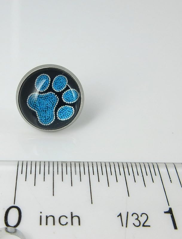 Summerfield Collection Stainless Steel Paw Print Glass Stud Earrings 12mm (Aqua)