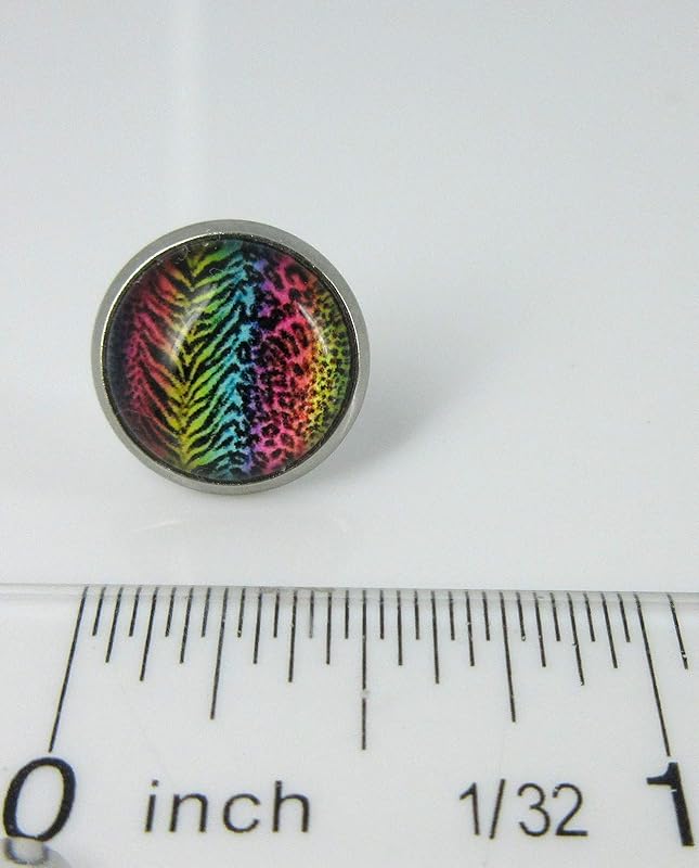 Summerfield Collection Stainless Steel Rainbow Tiger Animal Print Glass Stud Earrings 12mm