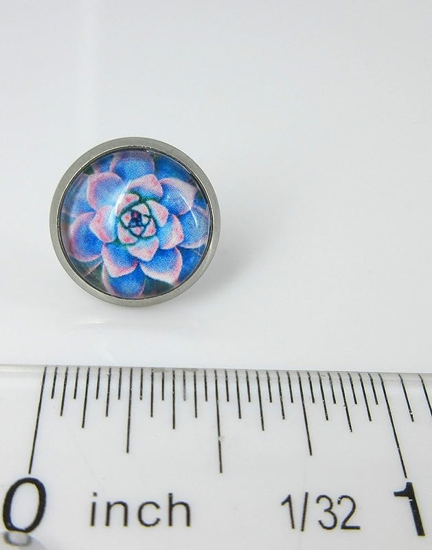 Summerfield Collection Stainless Steel Succulent Plant Print Glass Stud Earrings 12mm (Blue/Pink)