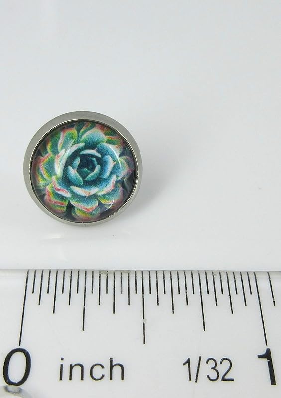 Summerfield Collection Stainless Steel Succulent Plant Print Glass Stud Earrings 12mm (Green/Yellow/Red)